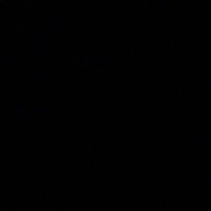 Meet your Posher, Sammy